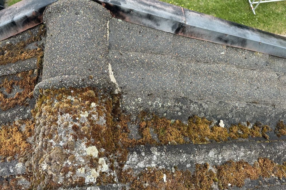 Taktvätt betongpannor i Malmö - professionell rengöring