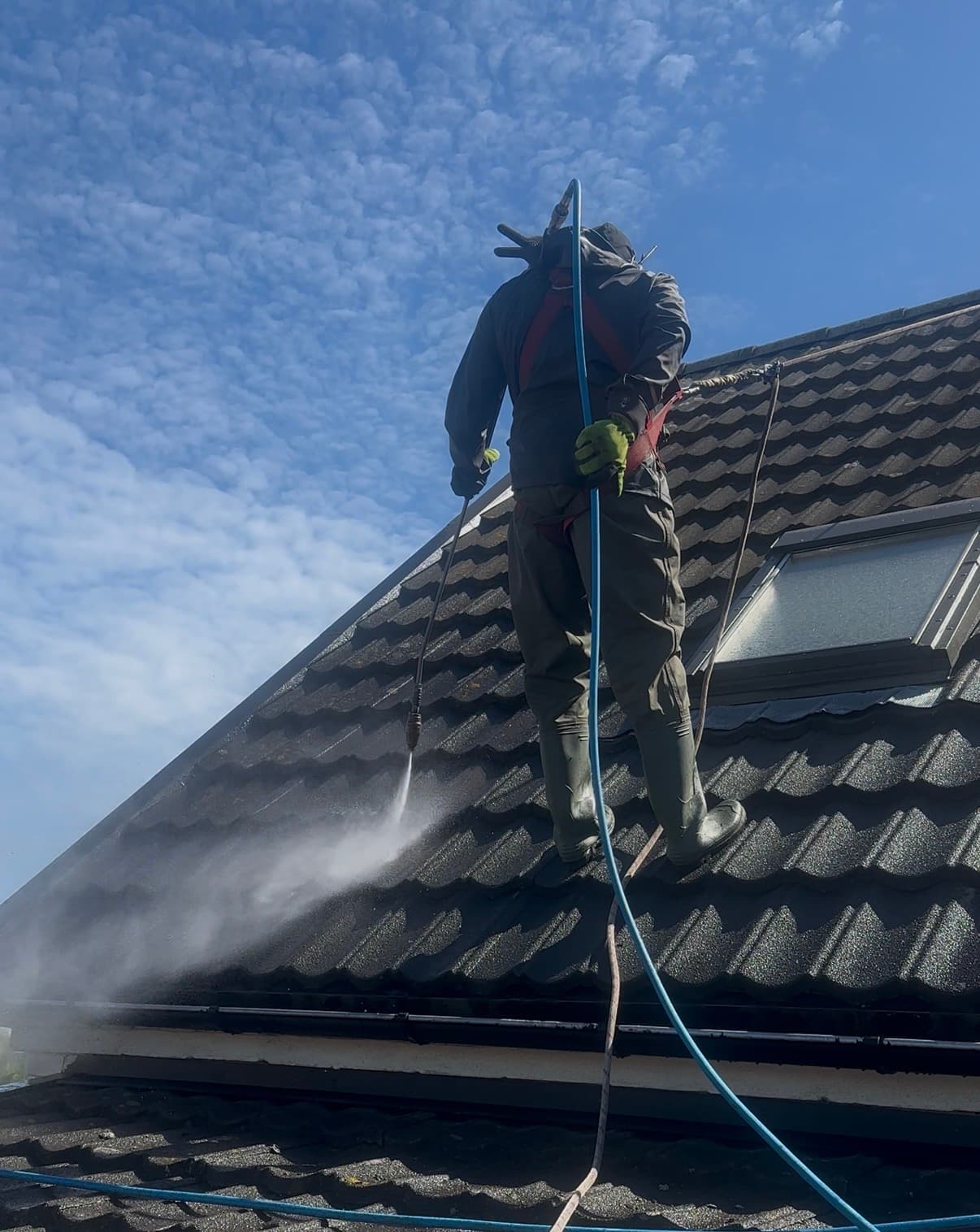 Mossa och alger på tak innan professionell taktvätt i Malmö